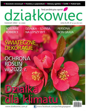 Działkowiec nr 4/2022