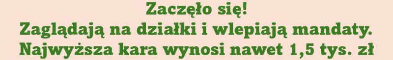 Kliknij tu, aby przeczytać całość...
